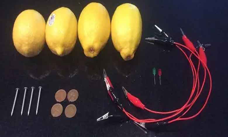 روش ساخت باتری میوه ای 1